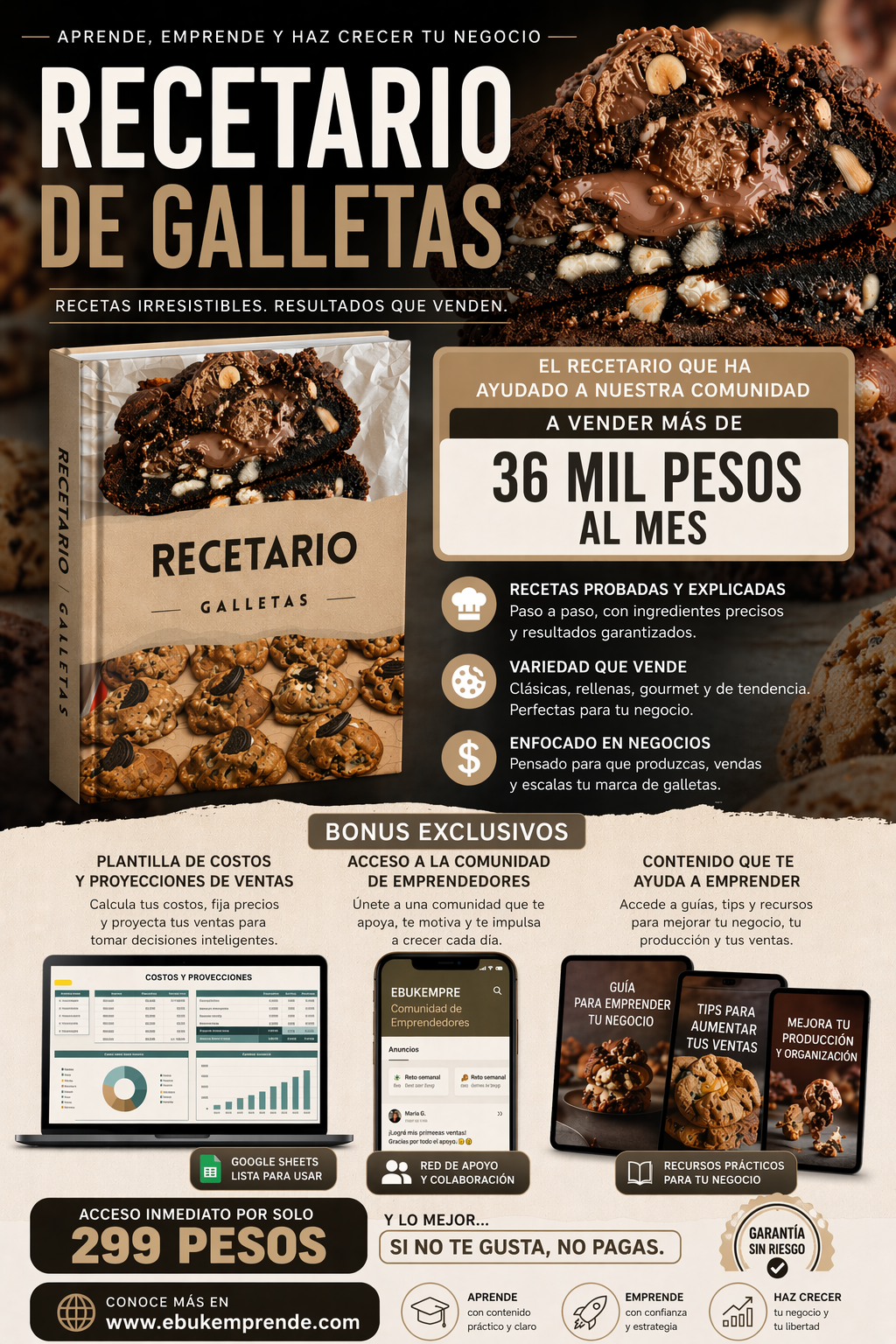 Recetario de Galletas - Recetas probadas y resultados que venden